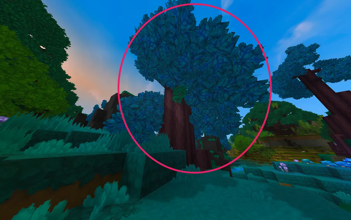 アズールの原木の画像