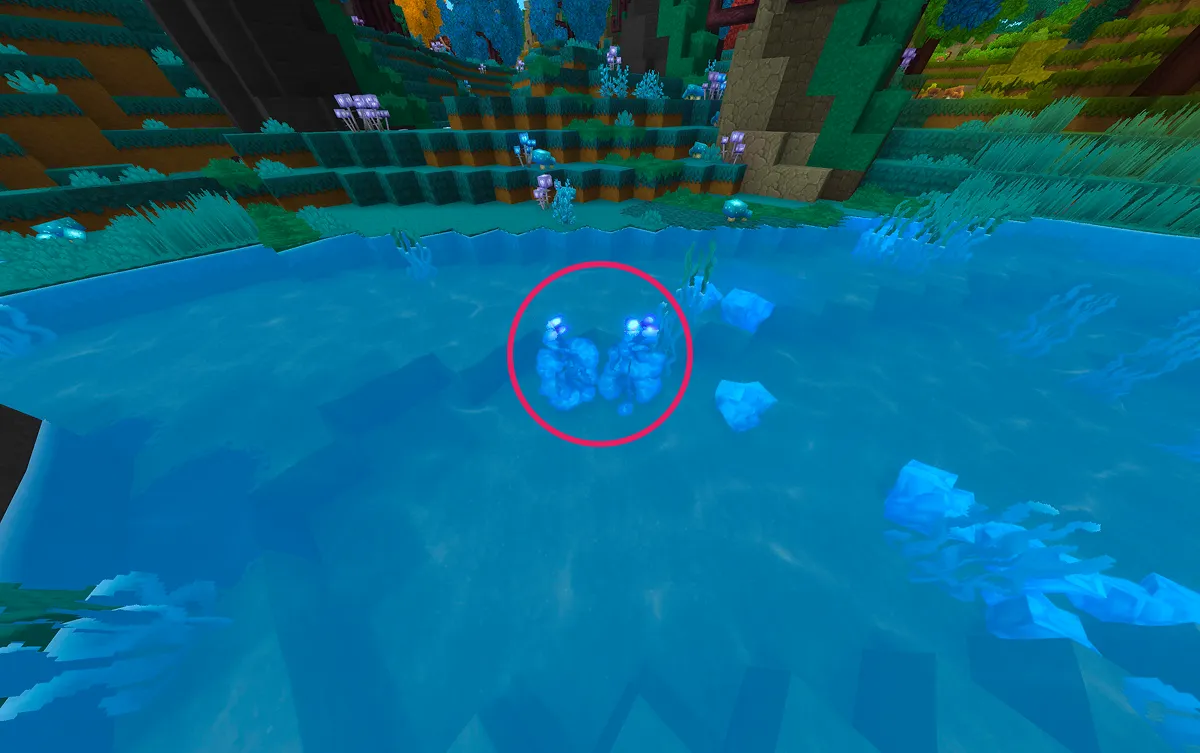 アズールケルプの画像